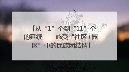 从“1”个到“11”个的延续——感受“社区+园区”中的民族团结情